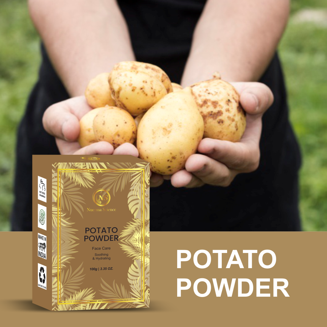 Potato Powder