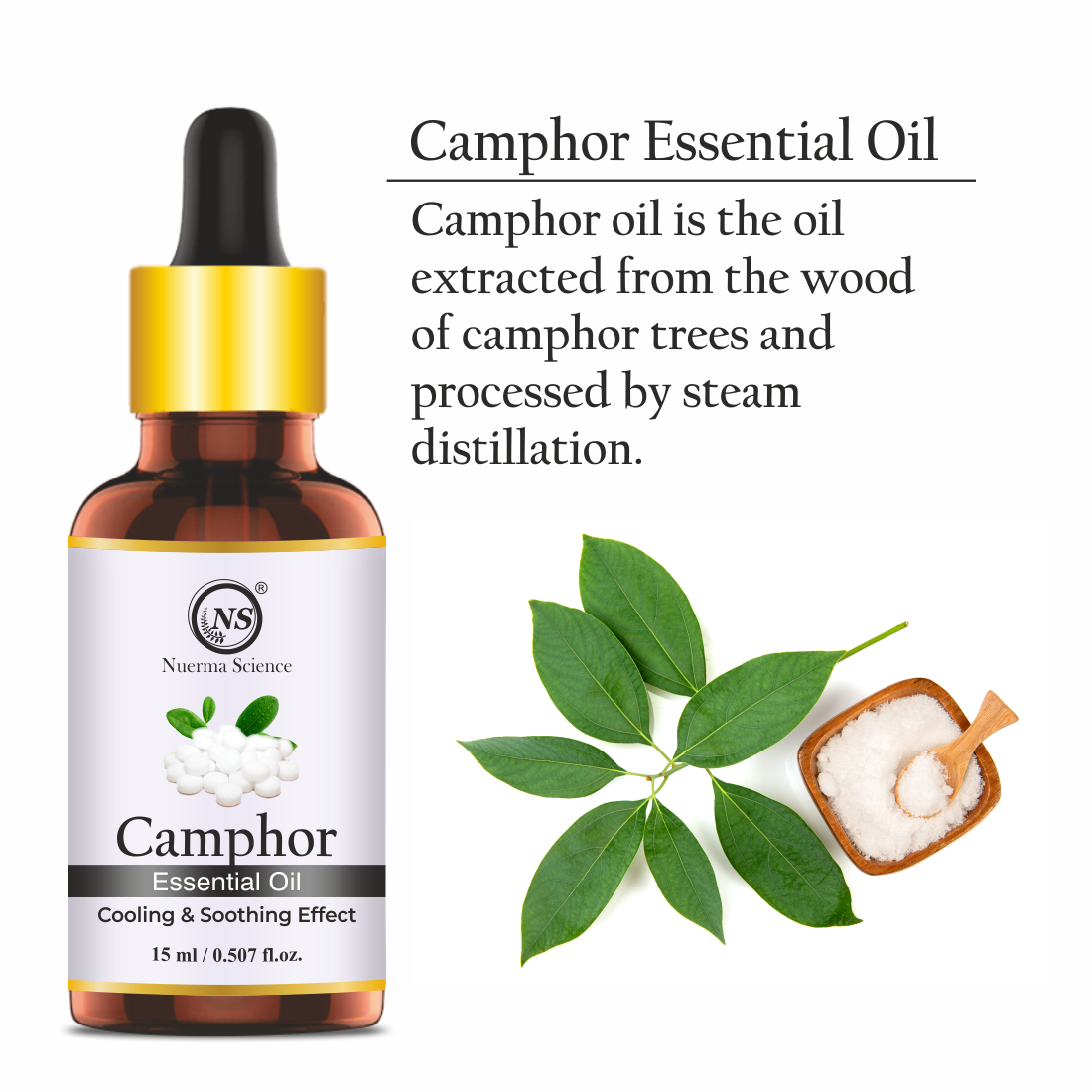 Nuerma Science Camphor (Kapoor) Cold Pressed Oil For Skin & Hair Care - 15m