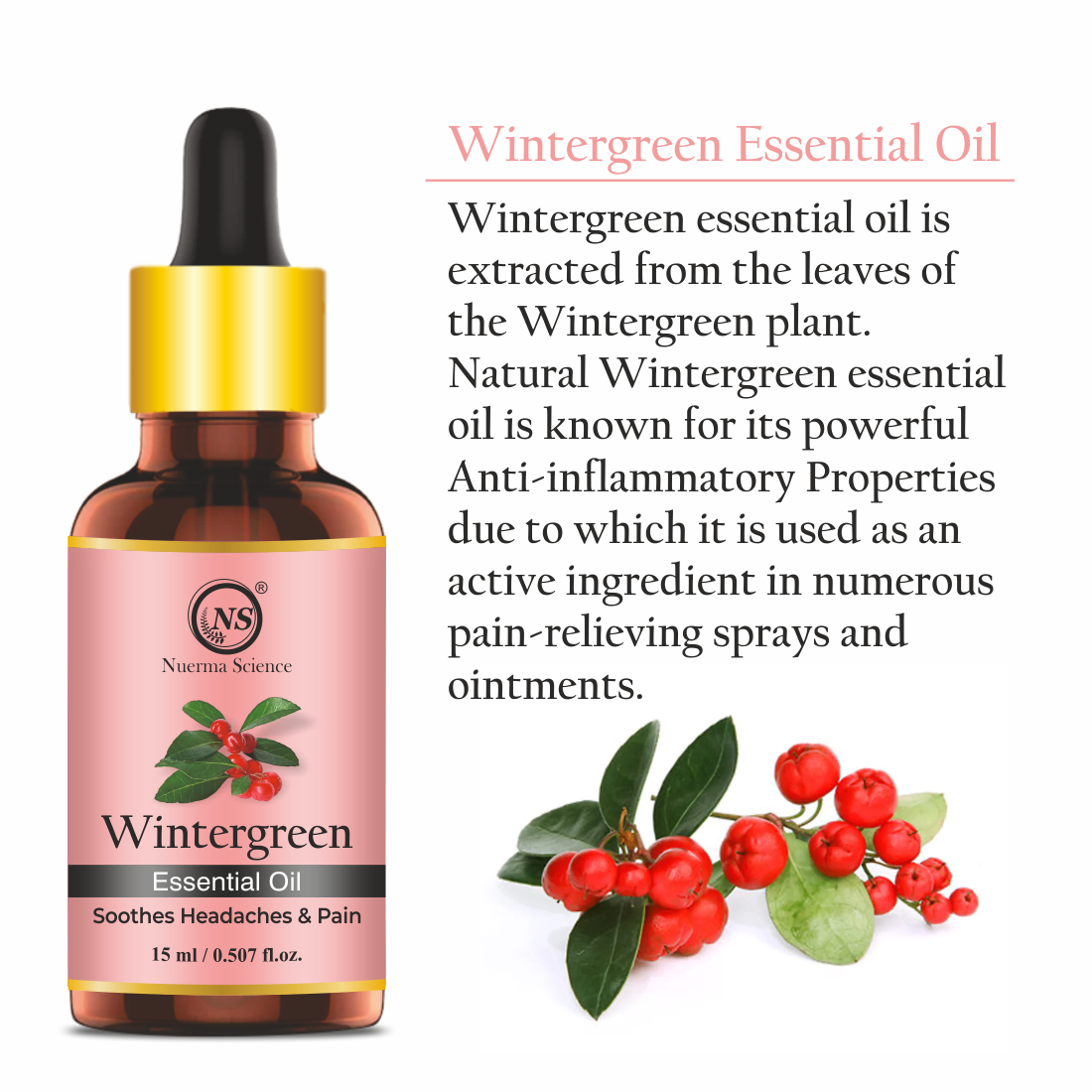 Wintergreen Essential Oil