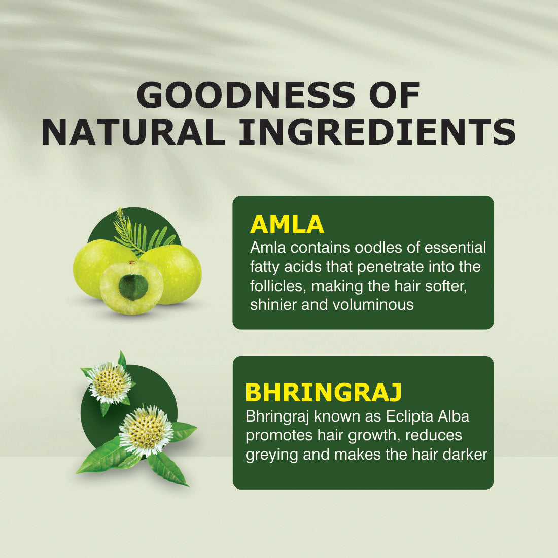 Amla Bhringraj Hair Oil | Scalp Nourishment & Natural Conditioning - 200ml