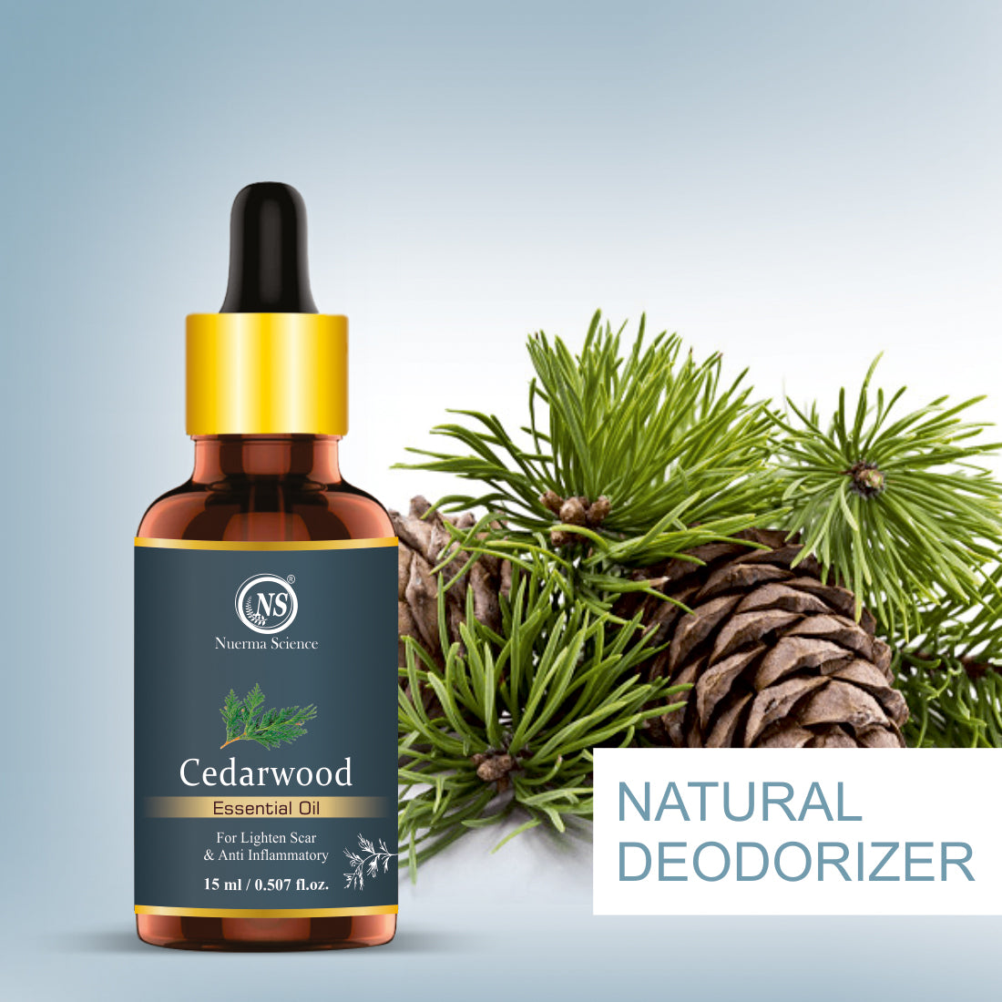 Cedarwood Essential Oil