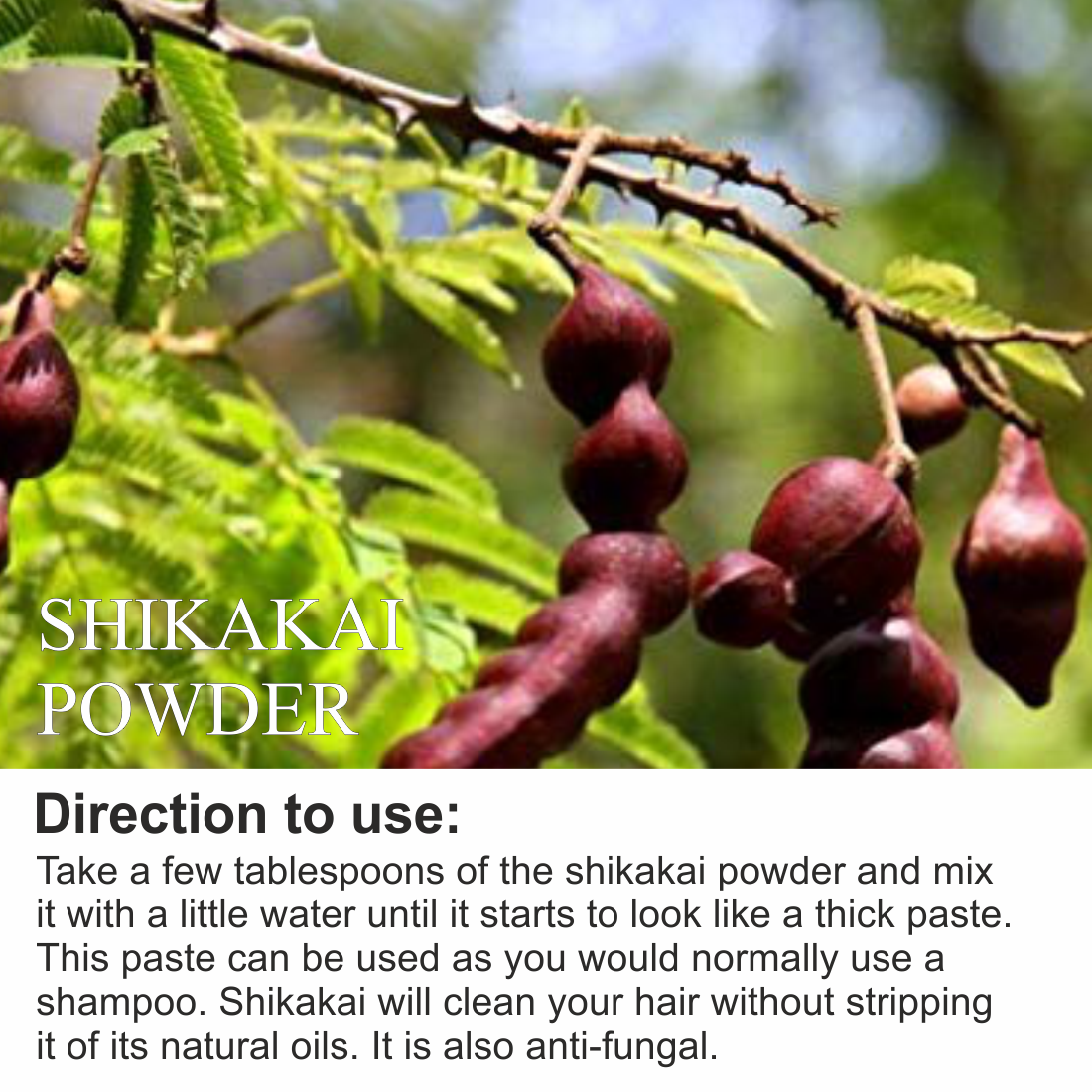 Shikakai Powder 